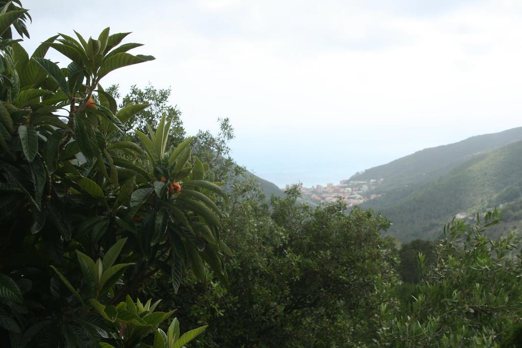 Hotel 5 Terre Nel Sole Deiva Marina Kültér fotó