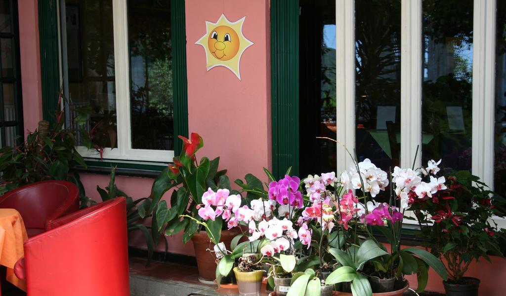 Hotel 5 Terre Nel Sole Deiva Marina Kültér fotó